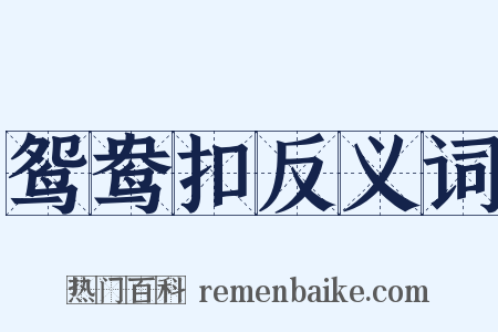 鸳鸯扣反义词是什么意思的图片